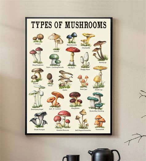 The World of Magic Mushroom Ceramics: Etsy Edition
